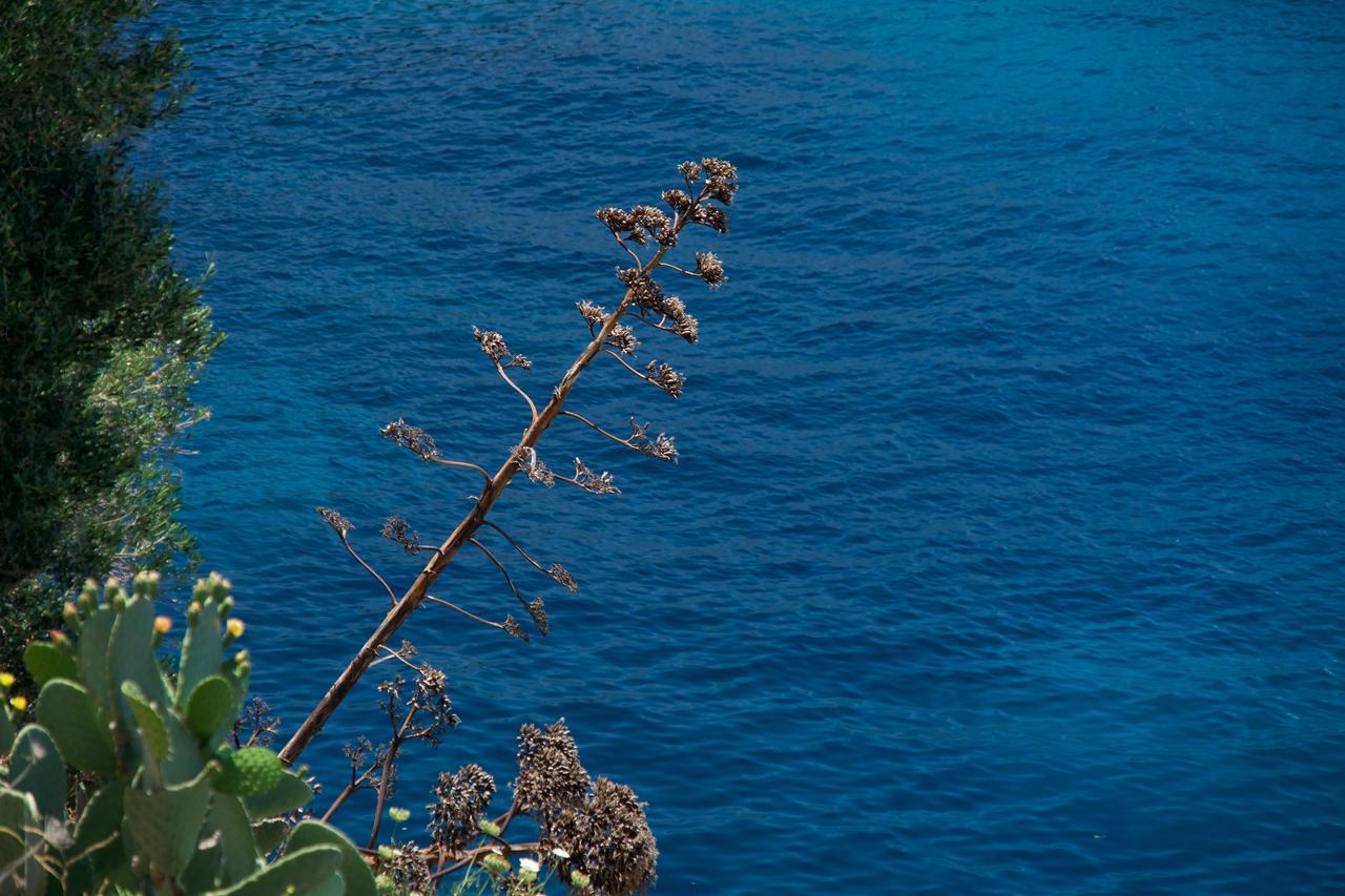 Villa Apoplous With Pool Asos Exteriör bild